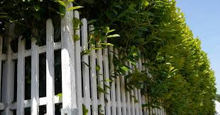 Nachbarrecht Einfriedung Gartenzaun Sichtschutzzaun