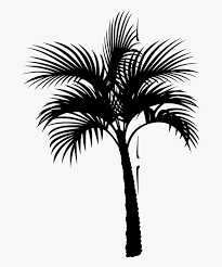 Download free palm tree vector and use any clip art,coloring,png graphics in your website, document or presentation. Palm Trees Vector Art Free Art Gallery