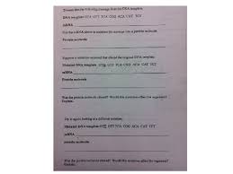 All work must be your own. Mutations Worksheet Doc