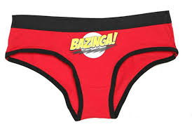 Webundies Com Big Bang Theory Bazinga Hipster Panty For Women Junior Fit