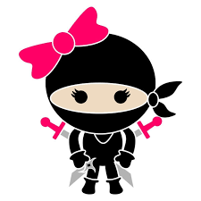Download Pin On Ninja