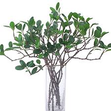 The format filter in twig is the same as php's sprintf notation. Buy Artificial Eucalytus Green Branches Faux Ficus Twig Home Office Shop Decoration 6pcs Online In Turkey B08xpf1d1w