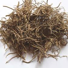 Image result for Cynanchum praecox