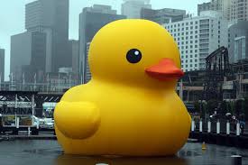 Chú vịt vàng ngu ngốc có tên là psyduck, một con vịt trong pokémon được tạo ra bởi nhà thiết kế ken sugimori. Rubber Duck Tac Pháº©m Ä'ieu Kháº¯c Wikipedia Tiáº¿ng Viá»‡t
