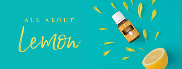 See full list on wikihow.com How To Use Lemon Essential Oil Young Living Blog