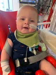 HI LAUREN, I'M SOOOOOOOO EXCITED TO SEE GOD ANSWERING OUR PRAYERS FOR  GRAYSON AND YOUR PRECIOUS FAMILY 💕. I HAVE JUST MADE ROOM IN MY HUMBLE  GARDEN FOR SOMETHING. WHAT WOULD YOU