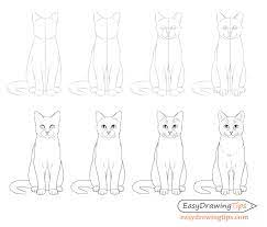 Pick a tutorial below and get. How To Draw A Cat Step By Step From Front View Easydrawingtips