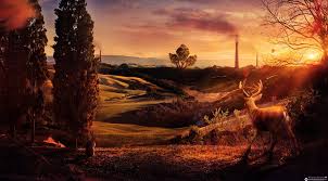 Desktopography Exhibition 2012 Nature Harmony Nature Desktop Wallpaper Art Wallpaper
