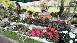 Jardin des plantes travelers' reviews, business hours, introduction, open hours. Le Jardin Des Plantes A Amiens Reunit Des Initiatives En Faveur De La Nature En Ville Photos
