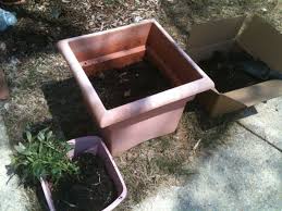 Maybe you would like to learn more about one of these? How To Save And Rejuvenate Faded Plastic Pots With Paint Dengarden