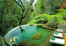 Design just the right shape and style of pool with specialty features that fit your personality. How To Create Your Own Backyard Oasis 20 Ideas For A Perfect Design