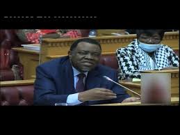 Opposition Mps Questions President Geingob During Sona Nbc Youtube