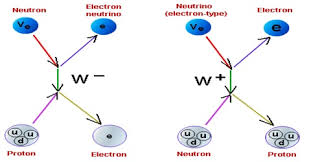 Weak Nuclear Force Definition In Dynamics Qs Study