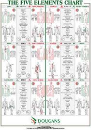 The International Academy Of Reflexology Meridian Therapy