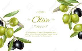 This stylish, wooden olive tray is a beautiful way to serve your guests olives, nuts, berries, and more. Horizontal With Ripe Black And Green Olives On White Background Royalty Free Cliparts Vectors And Stock Illustration Image 68054237