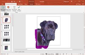 If you haven't already done so, click the file menu, select open, select the image, and then click open. How To Remove Picture Backgrounds In Powerpoint 2019 Dummies