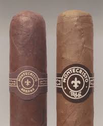 Bildergebnis für Andrea Robbins