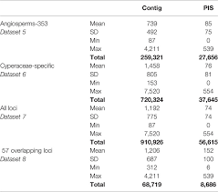 Image result for Sphaerocyperus erinaceus