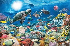 It is named not for the color of its shell, which is normally brown or olive depending on its habitat, but rather for the green color of the fat under its shell. 500 Pc Jigsaw Puzzle Brightly Colored Tropical Fish Gift Jigsaw Contemporary Puzzles