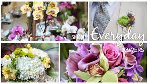 Maybe you would like to learn more about one of these? Blossoms Botanicals