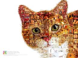 Erstellen sie einfach und schnell eine fotocollage mit den coolen vorlagen und collagen layouts von fotojet. Grosse Fotocollage Mit Katzen Mein Lieber Rothaariger Freund Beschreibung Programmparameter Fur Das Erstellen Detailansicht Video Auflosung Beim Speichern