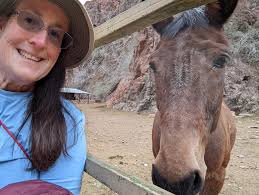 Grand Canyon mule ride trip of a lifetime