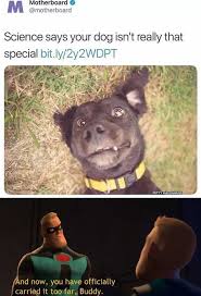 Explore 9gag for the most popular memes, breaking stories, awesome gifs, and viral videos on the internet! 30minutememes Jazz Music Stops