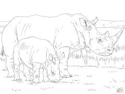 White Rhino Mother And Baby Super Coloring Baby Coloring Pages Coloring Pages Horse Coloring Pages