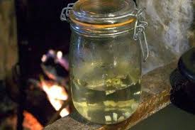 Comment Faire Un Ginger Bug Levain De Gingembre Pour Fermenter Jus De Fruits Ou De Legumes Ni Cru Ni Cuit Jus De Fruit Aliments Fermentes Ni Cru Ni Cuit