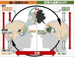 代わる代わる互いを押さえ込む2つの脳部位がptsd患者の恐怖on症状とoff症状をスイッチさせている 国立研究開発法人日本医療研究開発機構 症状 患者 医療