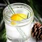 EDIBLE EVERGREENS — Fernwood Botanical Garden event in Niles, MI