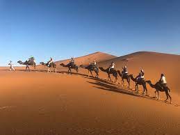 Discover tours, trekking & trips to do everywhere in morocco. Amazing Experience Review Of Morocco Camel Trekking Marrakech Morocco Tripadvisor