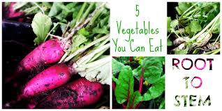 We took 5 flowers you can eat and collected the best recipes you can make with edible flowers! 5 Vegetables You Can Eat Root To Stem Gateway Greening