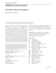 Pdf The Basics Of Brain Development