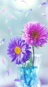 Nature Iphone Wallpaper Ideas Nature Wallpaper Iphone Flowers Purple Pink Flower Wallpaper Nature Iphone Wallpaper Pretty Flowers