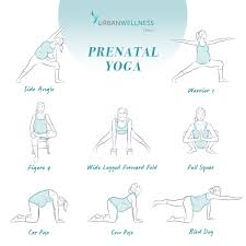 Pin On Pre And Post Birth