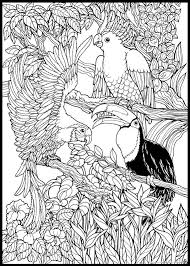 Enjoy tropical birds coloring pages. Pin On Ii Drawing Doodle Ii