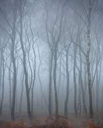 Beautiful And Moody Landscape Photography By Thomas Heaton Landscape Photography Nature Landscape Photography Trees Vintage Nature Photography