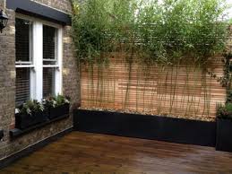 There are a few things that you need to know about this wood species and how to use it in order to decorate. Bamboo The New Trend For Your Garden My Desired Home