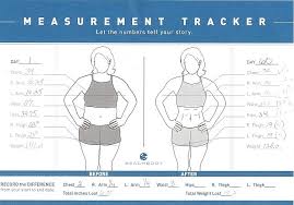 Body Measurement Tracking Chart For Download In Pdf Or Excel