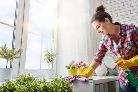 Dia punya rumah yang sangat bagus sekali, bisa saya katakan dia adalah orang kaya. Cara Mudah Untuk Merapikan Rumah