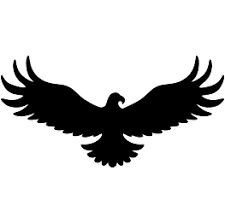 Eagle Silhouette Line Art Lesson Eagle Silhouette Wings Art