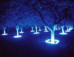 Heather Carson Light Art Installation Light Sculpture Light Art
