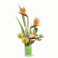 Order from these cheap flower delivery options asap to make sure your blooms show up in time for february 14th. Flowers For Men Flowers For Him Sendflowers Com