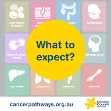 We are all activists against cancer. Cancer Council Tas Cancertas Twitter