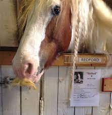 Pin On My Stable