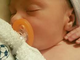 Fundraiser by Rachel Schaffer : Perry Tanner Celebration Of Life