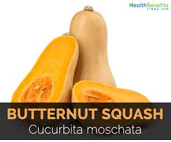 ernut squash facts health benefits