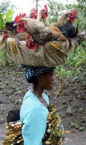 Sign In Africa People Of The World African People