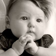 Chris Croy Photography (chriscroy)